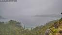 ./images/calvert/foggy-cove/20260707/foggy-cove20260707_155001M.jpg