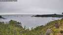 ./images/calvert/foggy-cove/20260707/foggy-cove20260707_172502M.jpg