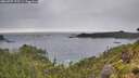 ./images/calvert/foggy-cove/20260707/foggy-cove20260707_173501M.jpg