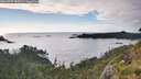./images/calvert/foggy-cove/20260707/foggy-cove20260707_192501M.jpg