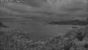 ./images/calvert/foggy-cove/20260708/foggy-cove20260708_044501M.jpg