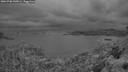 ./images/calvert/foggy-cove/20260708/foggy-cove20260708_045001M.jpg