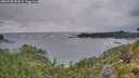 ./images/calvert/foggy-cove/20260708/foggy-cove20260708_053002M.jpg