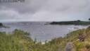./images/calvert/foggy-cove/20260708/foggy-cove20260708_054501M.jpg