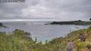 ./images/calvert/foggy-cove/20260708/foggy-cove20260708_071001M.jpg