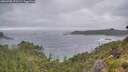 ./images/calvert/foggy-cove/20260708/foggy-cove20260708_071501M.jpg