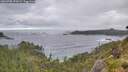 ./images/calvert/foggy-cove/20260708/foggy-cove20260708_072001M.jpg