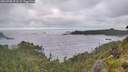 ./images/calvert/foggy-cove/20260708/foggy-cove20260708_072502M.jpg