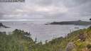 ./images/calvert/foggy-cove/20260708/foggy-cove20260708_073001M.jpg