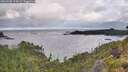 ./images/calvert/foggy-cove/20260708/foggy-cove20260708_074501M.jpg