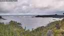 ./images/calvert/foggy-cove/20260708/foggy-cove20260708_075002M.jpg