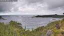./images/calvert/foggy-cove/20260708/foggy-cove20260708_081001M.jpg
