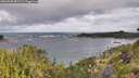 ./images/calvert/foggy-cove/20260708/foggy-cove20260708_082501M.jpg