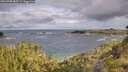 ./images/calvert/foggy-cove/20260708/foggy-cove20260708_083501M.jpg