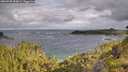 ./images/calvert/foggy-cove/20260708/foggy-cove20260708_084001M.jpg