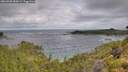 ./images/calvert/foggy-cove/20260708/foggy-cove20260708_085002M.jpg