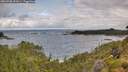 ./images/calvert/foggy-cove/20260708/foggy-cove20260708_091001M.jpg