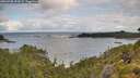 ./images/calvert/foggy-cove/20260708/foggy-cove20260708_092002M.jpg