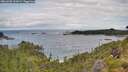 ./images/calvert/foggy-cove/20260708/foggy-cove20260708_101001M.jpg