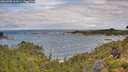 ./images/calvert/foggy-cove/20260708/foggy-cove20260708_102001M.jpg