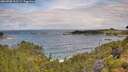 ./images/calvert/foggy-cove/20260708/foggy-cove20260708_102501M.jpg