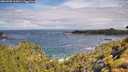 ./images/calvert/foggy-cove/20260708/foggy-cove20260708_103002M.jpg