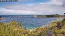 ./images/calvert/foggy-cove/20260708/foggy-cove20260708_104502M.jpg