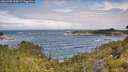 ./images/calvert/foggy-cove/20260708/foggy-cove20260708_105001M.jpg