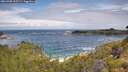 ./images/calvert/foggy-cove/20260708/foggy-cove20260708_105501M.jpg