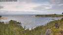./images/calvert/foggy-cove/20260708/foggy-cove20260708_111001M.jpg