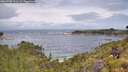 ./images/calvert/foggy-cove/20260708/foggy-cove20260708_111501M.jpg