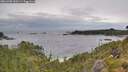 ./images/calvert/foggy-cove/20260708/foggy-cove20260708_120501M.jpg