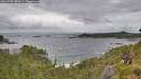./images/calvert/foggy-cove/20260708/foggy-cove20260708_132001M.jpg