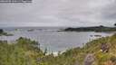 ./images/calvert/foggy-cove/20260708/foggy-cove20260708_134501M.jpg