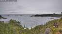 ./images/calvert/foggy-cove/20260708/foggy-cove20260708_142501M.jpg