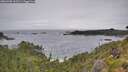 ./images/calvert/foggy-cove/20260708/foggy-cove20260708_143501M.jpg