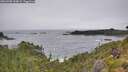 ./images/calvert/foggy-cove/20260708/foggy-cove20260708_144001M.jpg