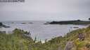 ./images/calvert/foggy-cove/20260708/foggy-cove20260708_144501M.jpg