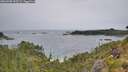 ./images/calvert/foggy-cove/20260708/foggy-cove20260708_145501M.jpg
