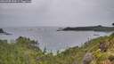 ./images/calvert/foggy-cove/20260708/foggy-cove20260708_184501M.jpg