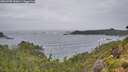 ./images/calvert/foggy-cove/20260708/foggy-cove20260708_191001M.jpg