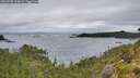 ./images/calvert/foggy-cove/20260708/foggy-cove20260708_204001M.jpg