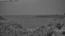 ./images/calvert/foggy-cove/20260709/foggy-cove20260709_045001M.jpg
