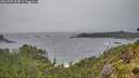 ./images/calvert/foggy-cove/20260709/foggy-cove20260709_054002M.jpg