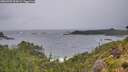./images/calvert/foggy-cove/20260709/foggy-cove20260709_054501M.jpg