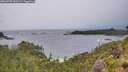 ./images/calvert/foggy-cove/20260709/foggy-cove20260709_060502M.jpg
