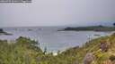 ./images/calvert/foggy-cove/20260709/foggy-cove20260709_061001M.jpg