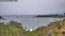 ./images/calvert/foggy-cove/20260709/foggy-cove20260709_061502M.jpg