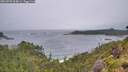 ./images/calvert/foggy-cove/20260709/foggy-cove20260709_064001M.jpg