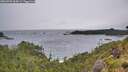 ./images/calvert/foggy-cove/20260709/foggy-cove20260709_064501M.jpg